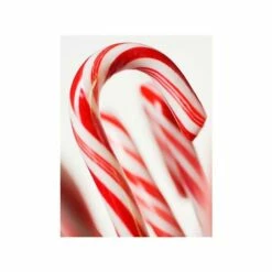 Bobs Sweet Stripes Traditional Red & White Peppermint Candy Canes: 96-Piece Pail 7 Bobs Sweet Stripes Traditional Red & White Peppermint Candy Canes: 96-Piece Pail -US Model Figures Sales bobs sweet stripes traditional red and white peppermint candy canes 96 piece pail candy warehouse 3