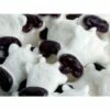 Gustaf's White & Black Gummy Cow Heads: 1KG Bag