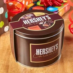 Hershey's Caramels - Milk And Dark Chocolate Caramel Candy: 2.5LB Gift Tin -US Model Figures Sales hershey s caramels milk and dark chocolate caramel candy 2 5lb gift tin candy warehouse 4