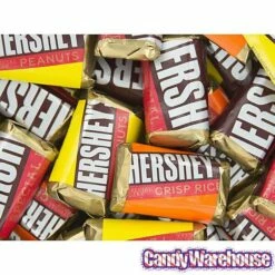 Hershey's Special Dark Miniatures Chocolate Bars: 10.1-Ounce Bag 8 Hershey's Special Dark Miniatures Chocolate Bars: 10.1-Ounce Bag -US Model Figures Sales hershey s special dark miniatures chocolate bars 10 1 ounce bag candy warehouse 4