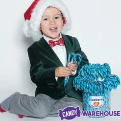 Jelly Belly Candy Canes - Blueberry: 80-Piece Bucket -US Model Figures Sales jelly belly candy canes blueberry 80 piece bucket candy warehouse 3