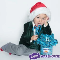 Jelly Belly Candy Canes - Blueberry: 80-Piece Bucket -US Model Figures Sales jelly belly candy canes blueberry 80 piece bucket candy warehouse 4