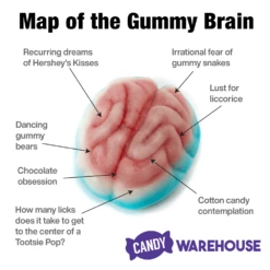 Jelly Filled Gummy Brains: 1KG Bag 7 Jelly Filled Gummy Brains: 1KG Bag -US Model Figures Sales jelly filled gummy brains 1kg bag candy warehouse 3