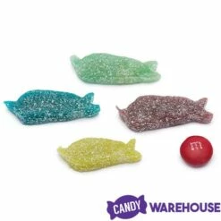 Sour Punch Bites Chewy Candy Narwhals: 8-Ounce Bag 7 Sour Punch Bites Chewy Candy Narwhals: 8-Ounce Bag -US Model Figures Sales sour punch bites chewy candy narwhals 8 ounce bag candy warehouse 3