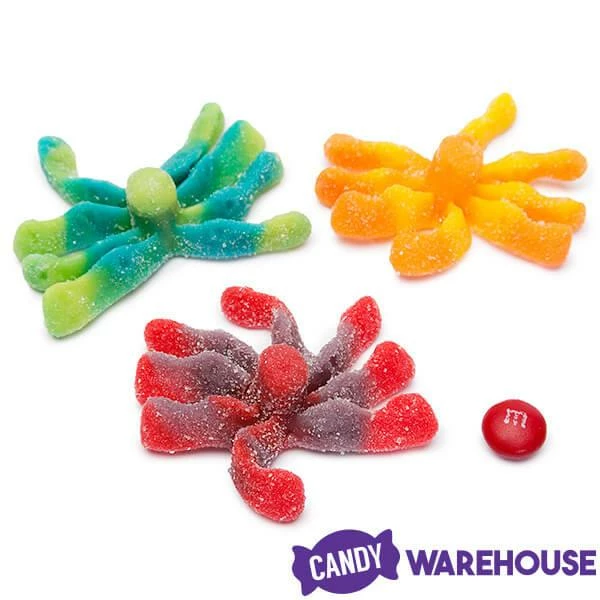 Trolli Sour Brite Gummy Octopus Candy: 35-Piece Jar 2 Trolli Sour Brite Gummy Octopus Candy: 35-Piece Jar - Image 2