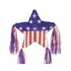 USA Star Pinata