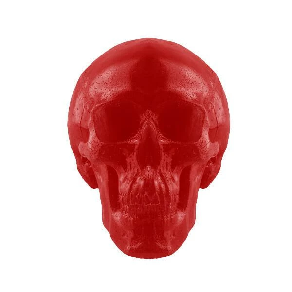 World's Largest Giant Gummy Skull 2 World's Largest Giant Gummy Skull - Image 2